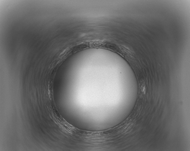 X0000056001252200508190812