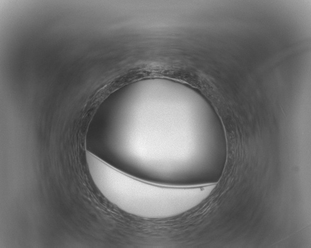 X0000056001253200508190812