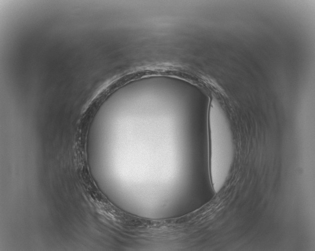 X0000056001256200508190812
