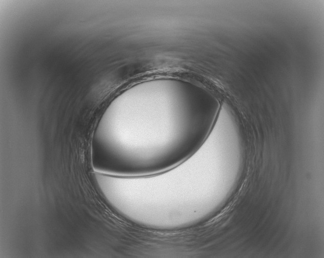 X0000056001257200508190812