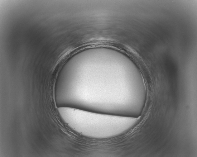 X0000056001259200508190812