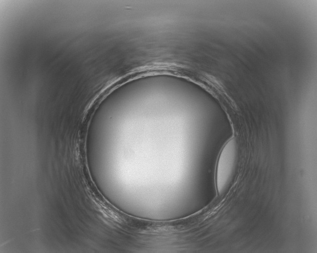 X0000056001260200508190812