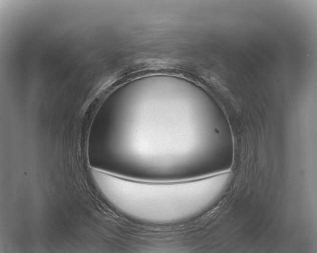 X0000056001261200508190812