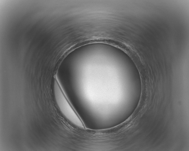 X0000056001265200508190812
