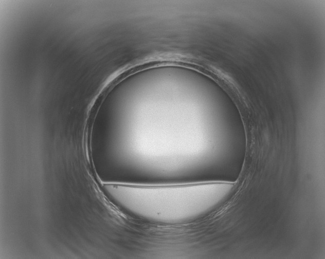 X0000056001272200508190812