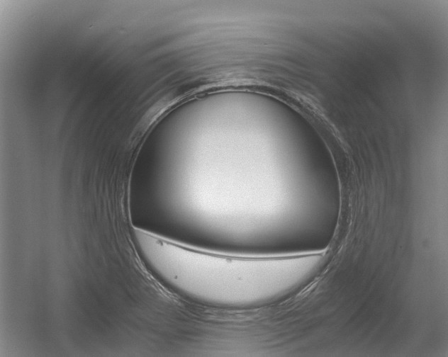 X0000056001273200508190812