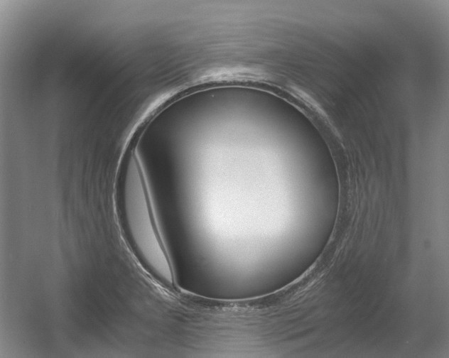 X0000056001277200508190812