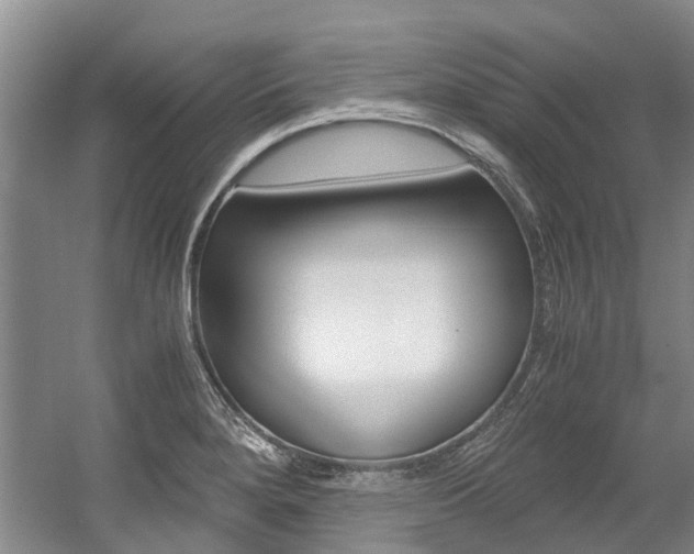 X0000056001280200508190812