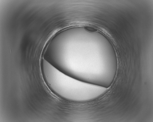 X0000056001283200508190812