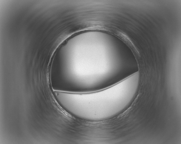 X0000056001284200508190812