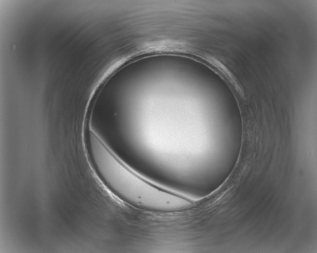 X0000056001285200508190812