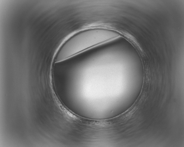 X0000056001288200508190812