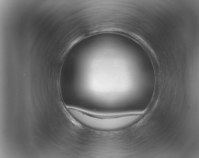 X0000056001289200508190812