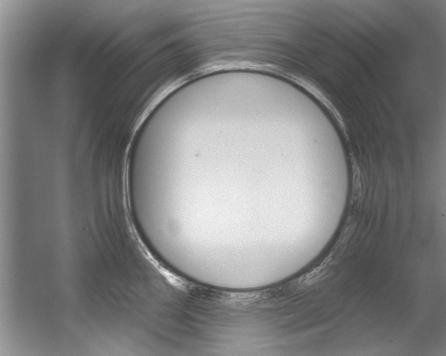 X0000056001290200508190812