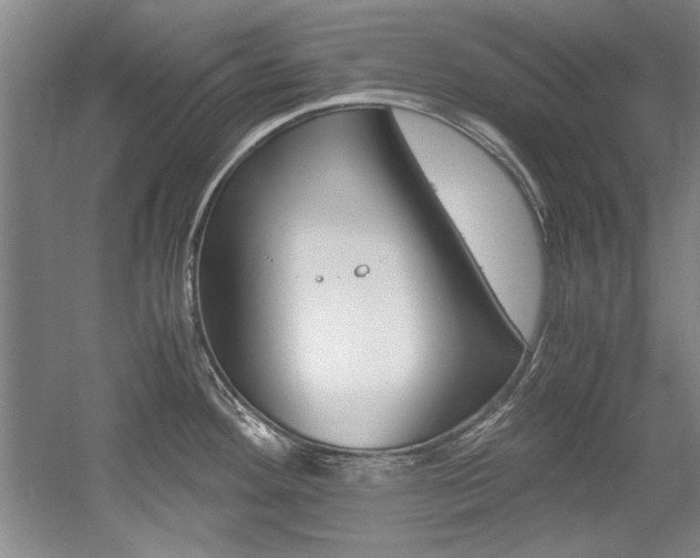 X0000056001292200508190812
