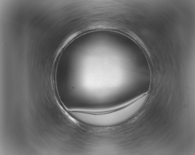 X0000056001293200508190812