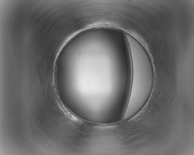 X0000056001296200508190811