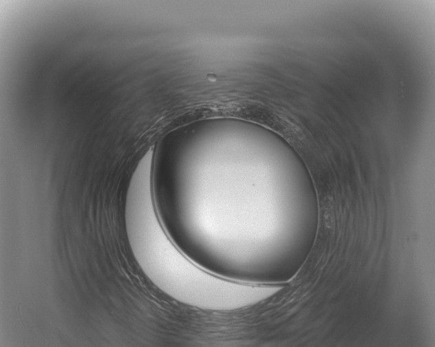 X0000056001298200508190811