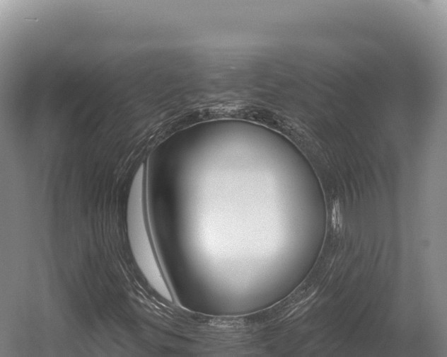 X0000056001299200508190811