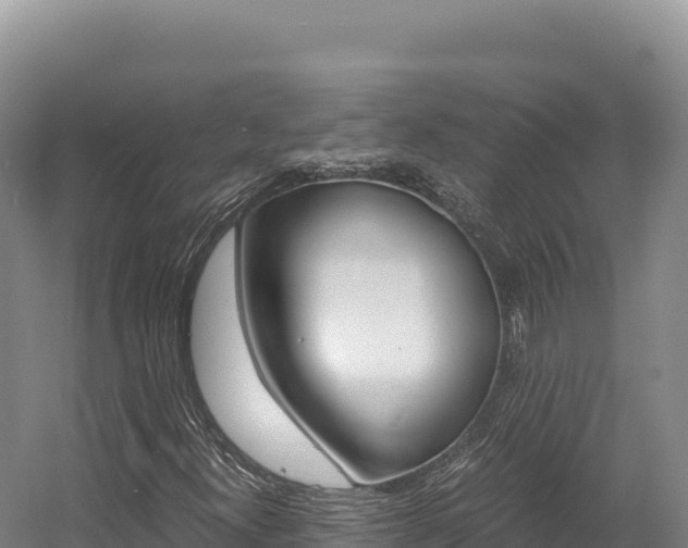 X0000056001300200508190811