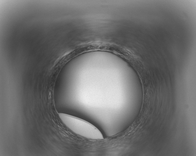 X0000056001302200508190811