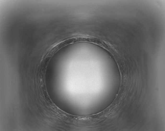 X0000056001303200508190811