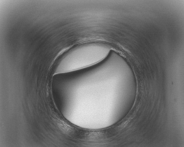 X0000056001306200508190811