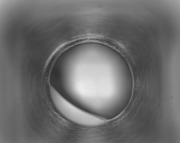 X0000056001310200508190811