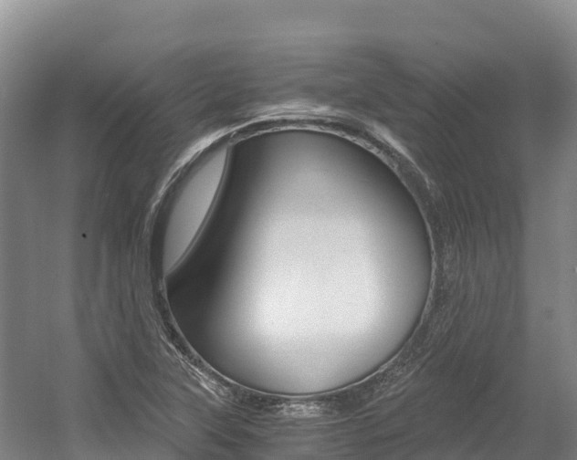 X0000056001315200508190811