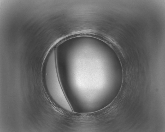 X0000056001316200508190811