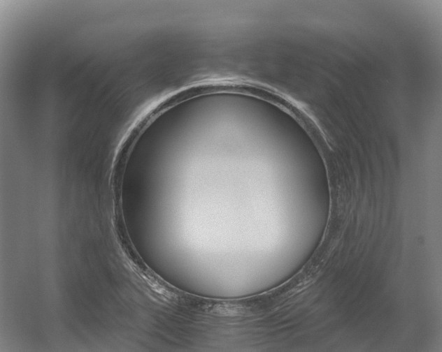 X0000056001319200508190811
