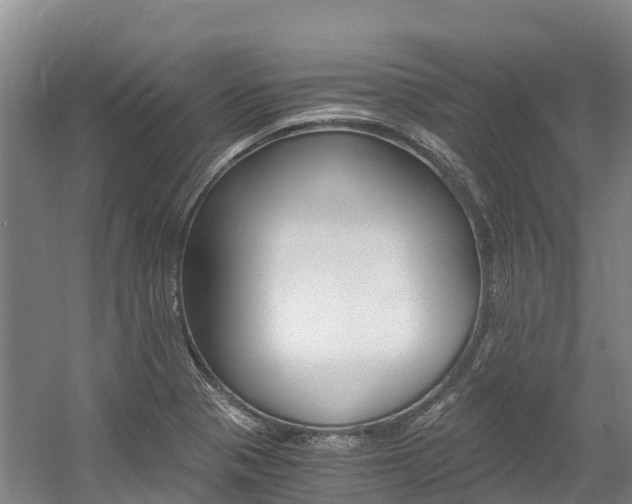 X0000056001321200508190811