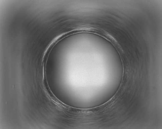 X0000056001323200508190811