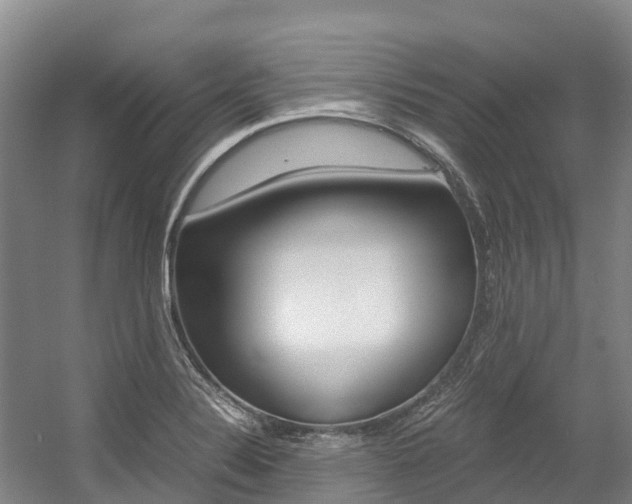 X0000056001324200508190811