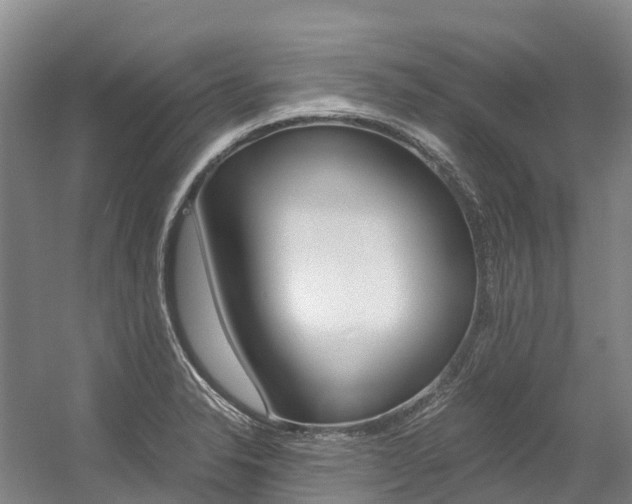 X0000056001326200508190811