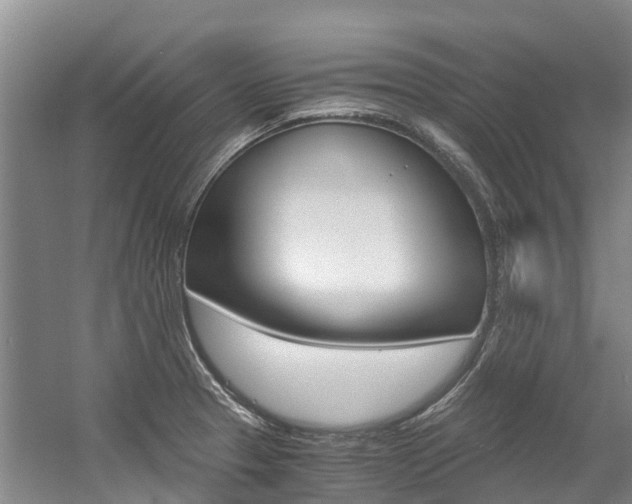 X0000056001329200508190811