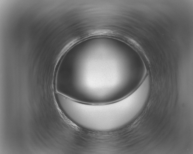 X0000056001330200508190811