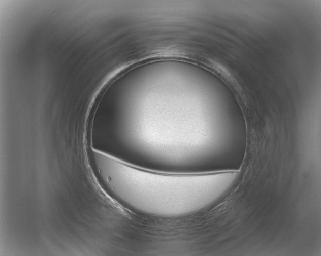X0000056001331200508190811