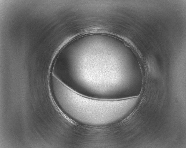 X0000056001333200508190811