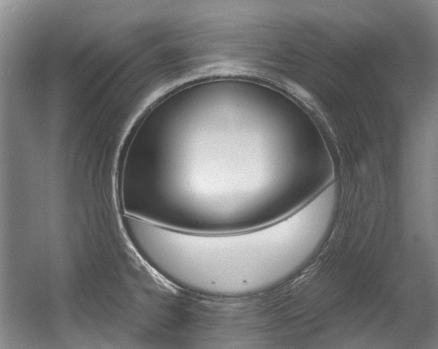 X0000056001334200508190811