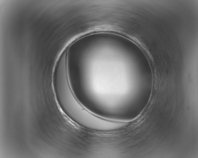 X0000056001342200508190811