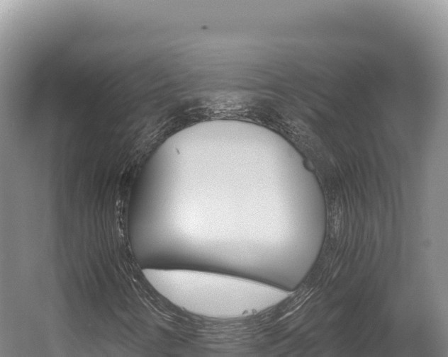 X0000056001346200508190811