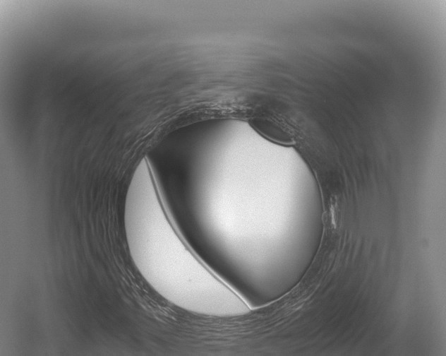 X0000056001347200508190811