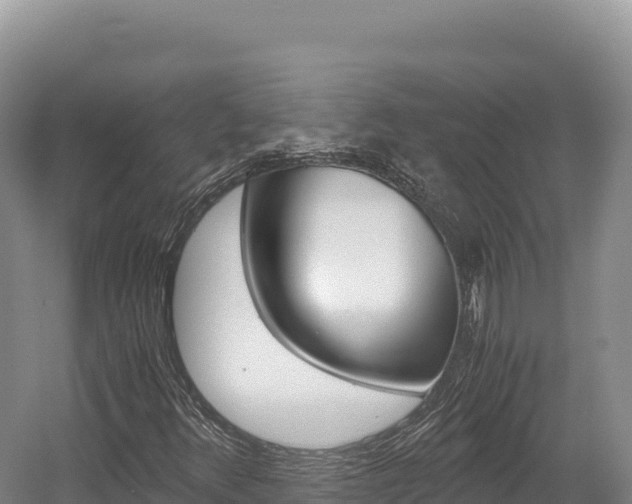 X0000056001348200508190811