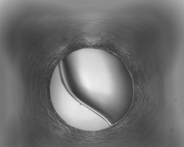 X0000056001349200508190811