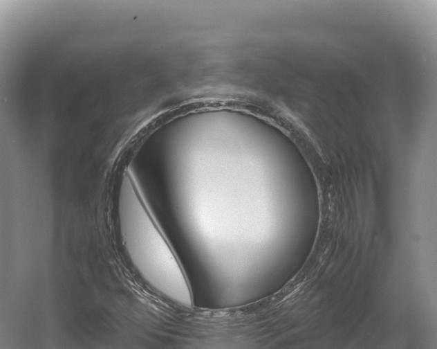 X0000056001352200508190811