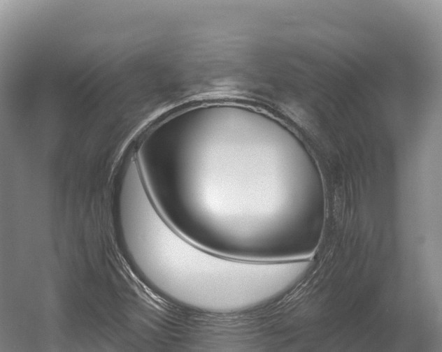 X0000056001356200508190810