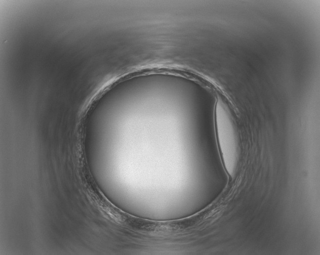 X0000056001359200508190810