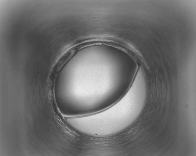 X0000056001360200508190810
