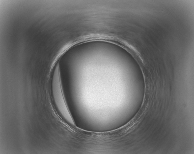 X0000056001365200508190810
